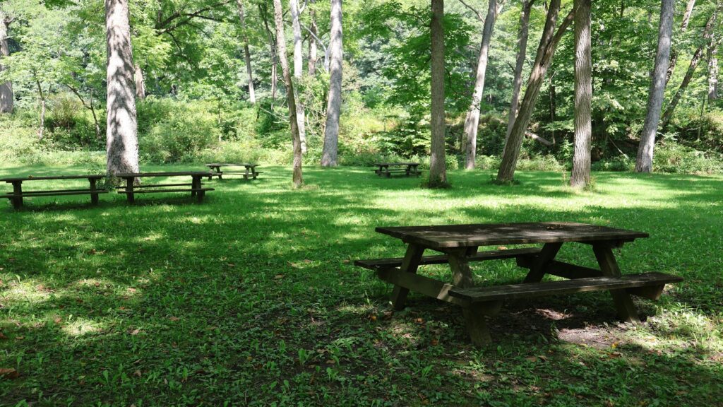 Introduction to the Best places to visit in New York in summer