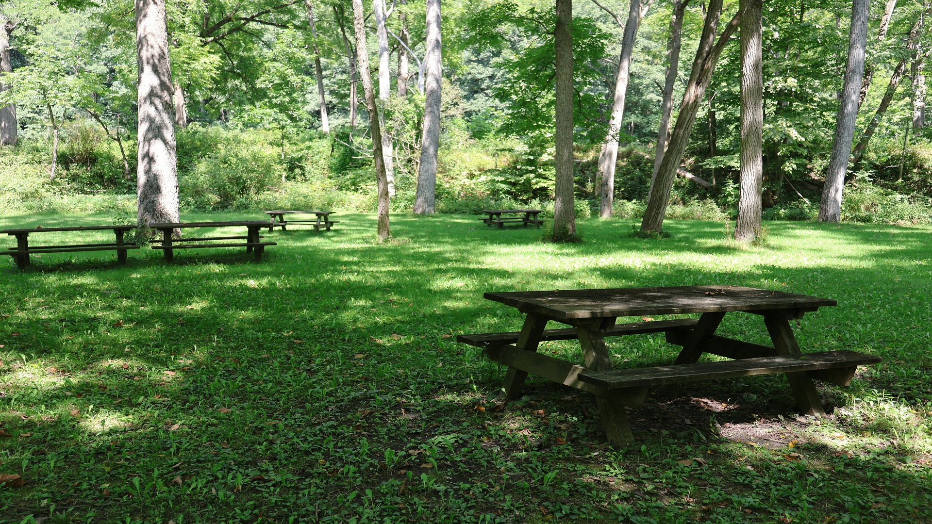 Best places to visit in New York in summer